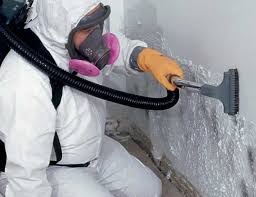 Mold Remediation for Rental Properties in Defuniak Springs, FL